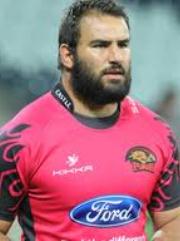 Dawie Steyn