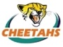 Cheetahs1