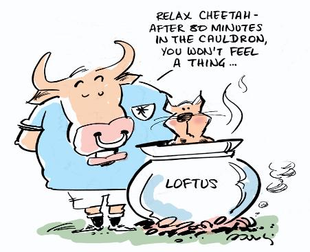 Bulls Cartoon 03