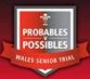 Wales Probables vs Possibles