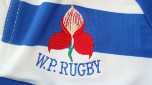 DHL WP Rugby