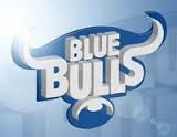 Blue Bulls Logo